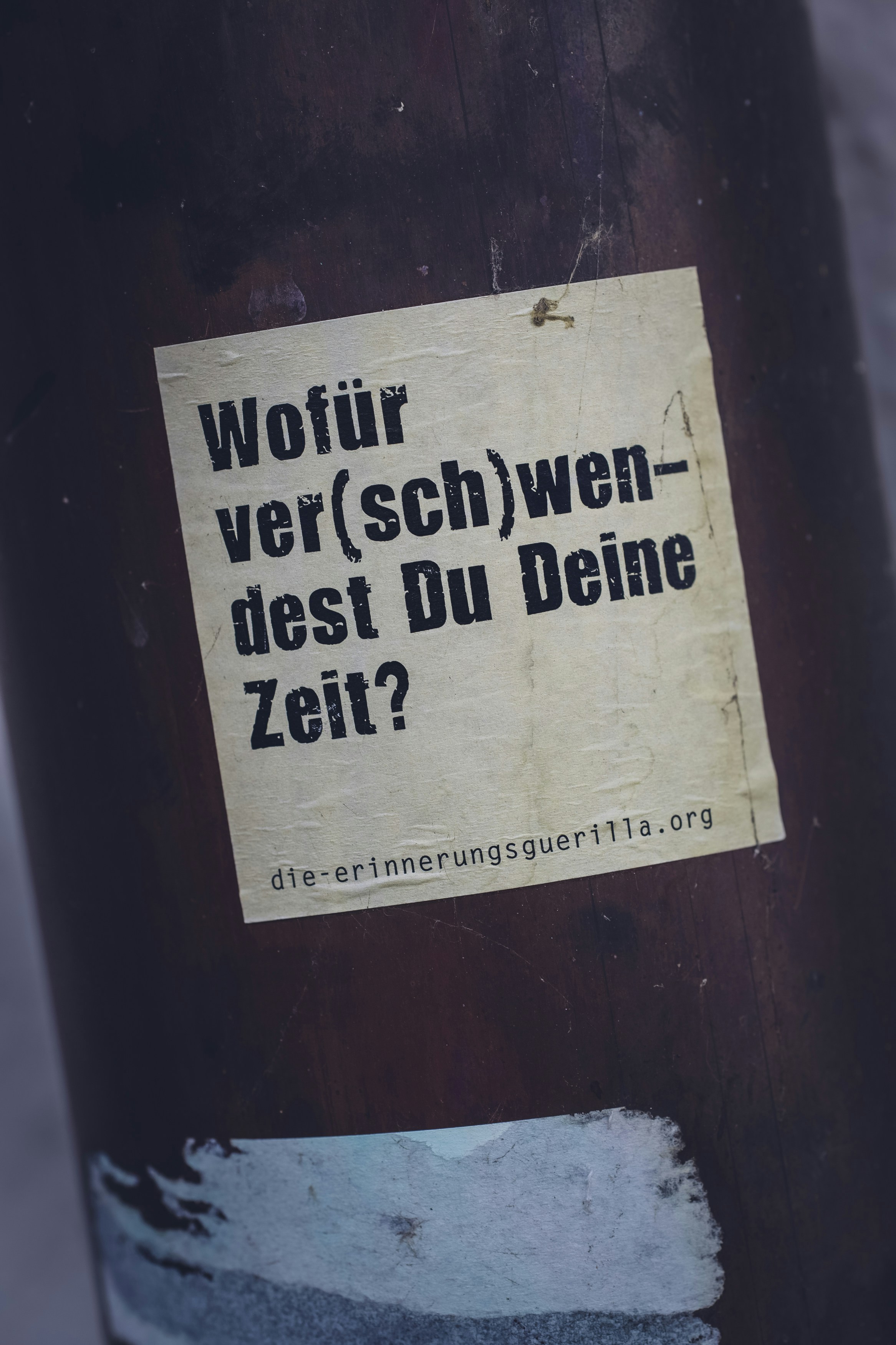 WHAT DO YOU WASTE YOUR TIME ON? // Wofür ver(sch)wendest Du Deine Zeit? Made with Canon 5d Mark III and analog vintage lens, Leica APO Macro Elmarit-R 2.8 100mm (Year: 1993)