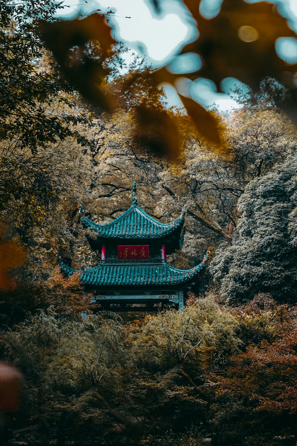 brown and black pagoda on brown and green trees during daytime