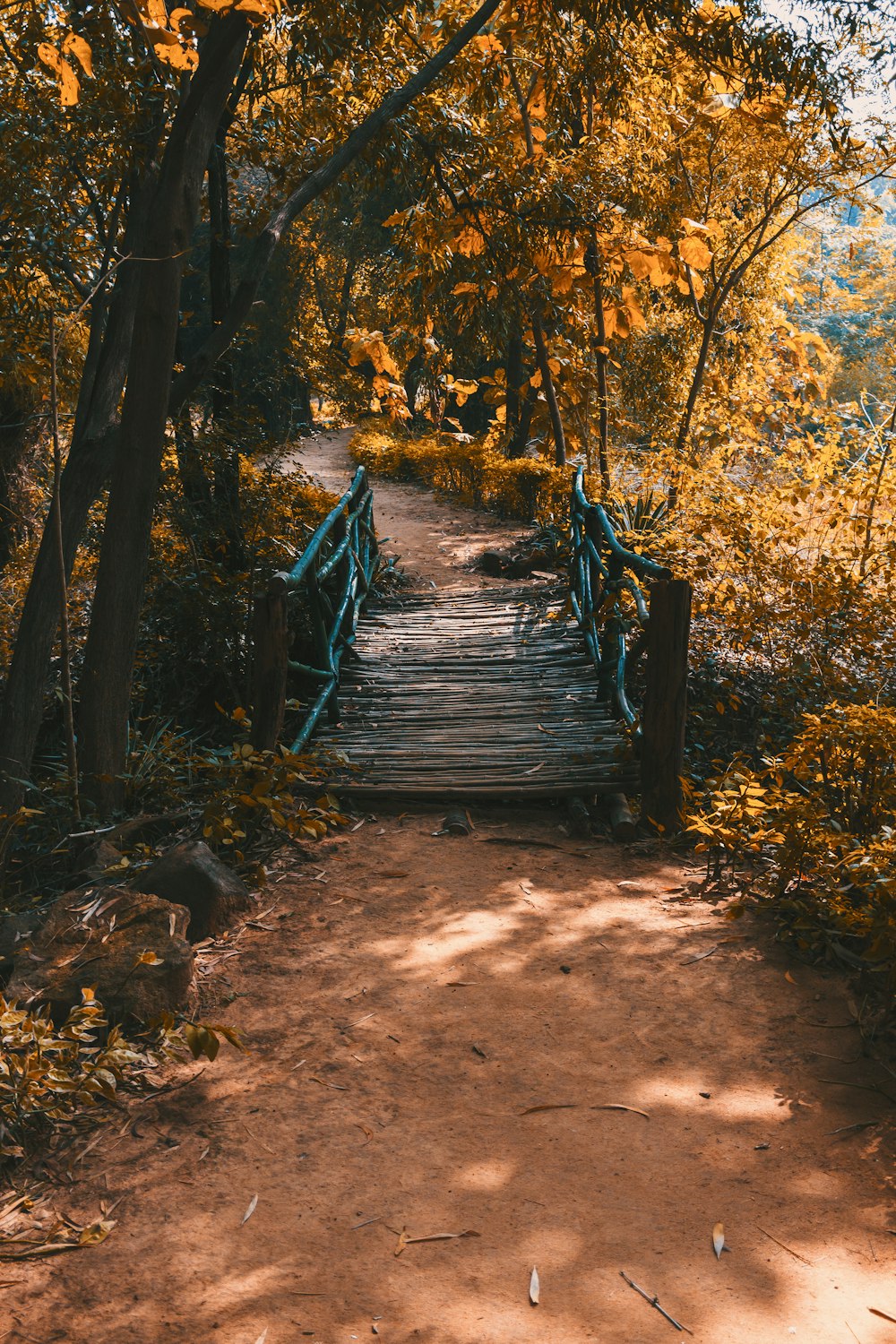 brown wooden stairs in forest during daytime