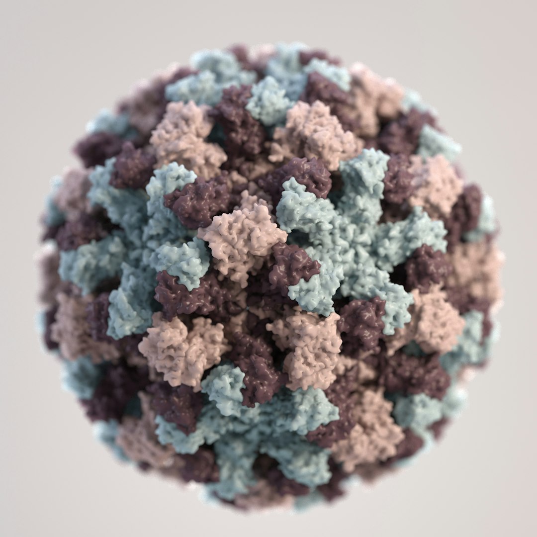 Based on electron microscopic (EM) imagery, this three-dimensional (3D) illustration provides a graphical representation of a single norovirus virion, set against a beige background. The different colors represent different regions of the organism’s outer protein shell, or capsid.