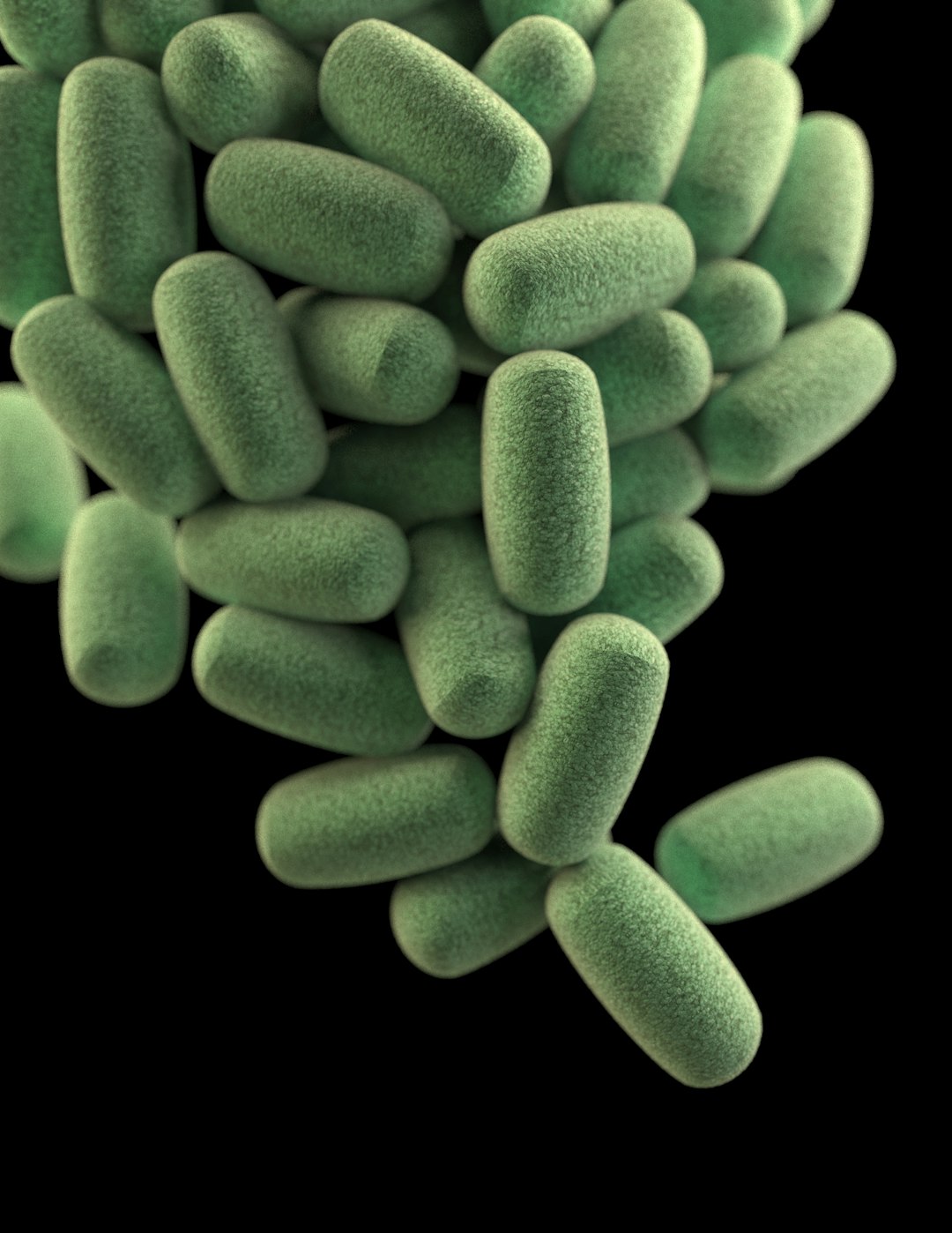 This illustration depicts a three-dimensional (3D), computer-generated image of a cluster of barrel-shaped, Clostridium perfringens bacteria. The artistic recreation was based upon scanning electron microscopic (SEM) imagery. See PHIL 21914, for another view of these microbes.