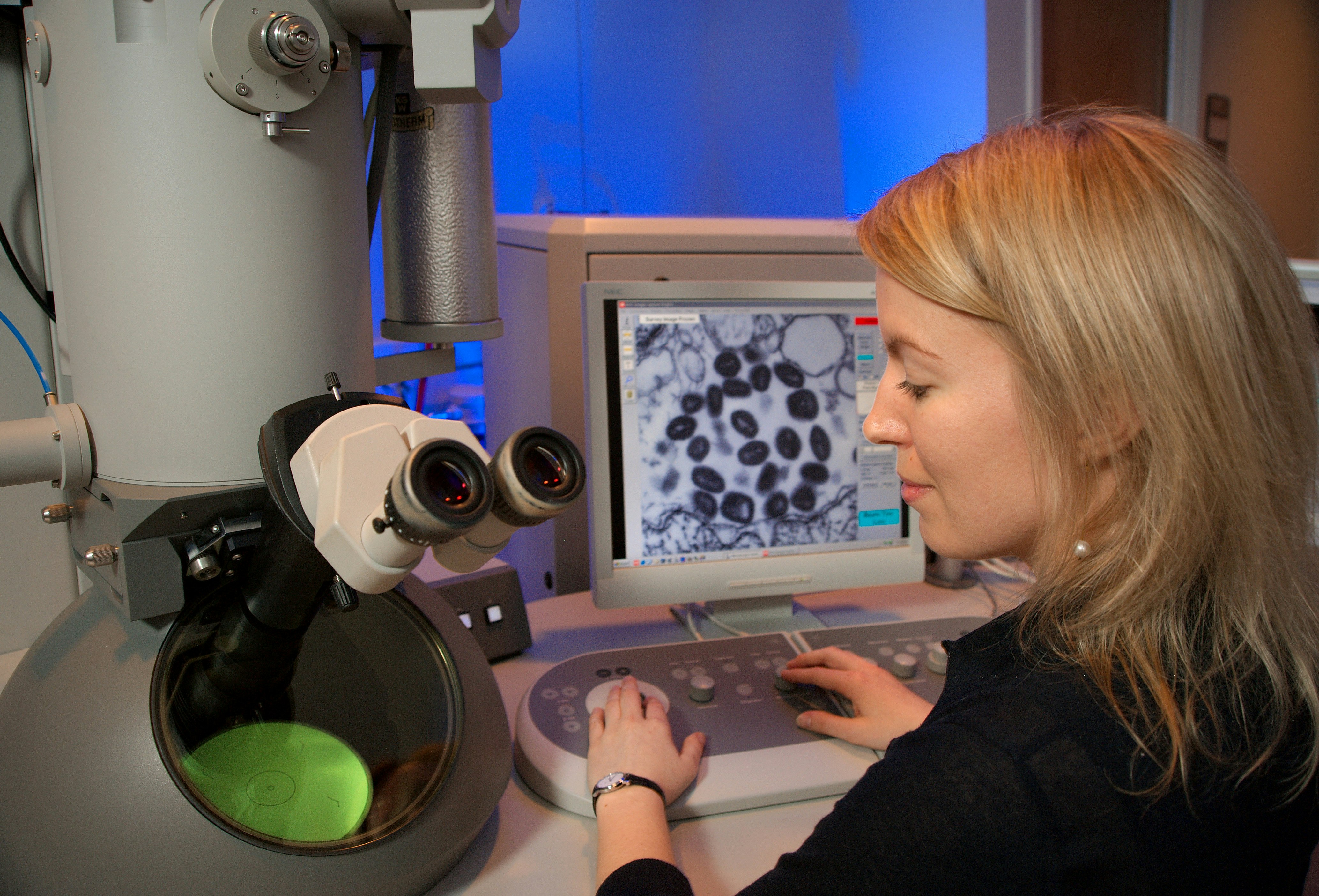 This image depicts Centers for Disease Control and Prevention (CDC) intern, Maureen Metcalfe, as she was using one of the agency’s transmission electron microscopes (TEM). The microscope’s screen was displaying a thin section of the variola virus, revealing some of the ultrastructural features displayed by this pathogenic organism, which is the cause of smallpox.
