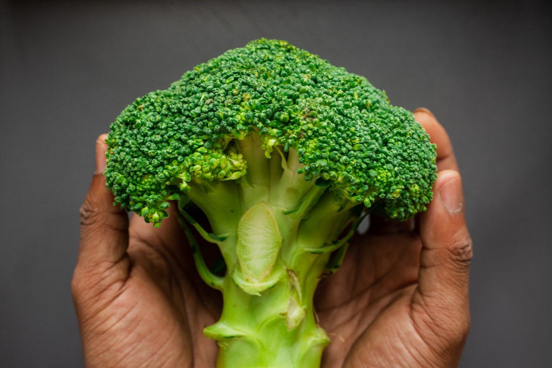 person holding green broccoli vegetable