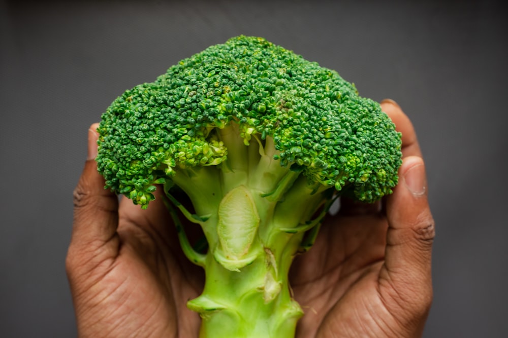 person holding green broccoli vegetable