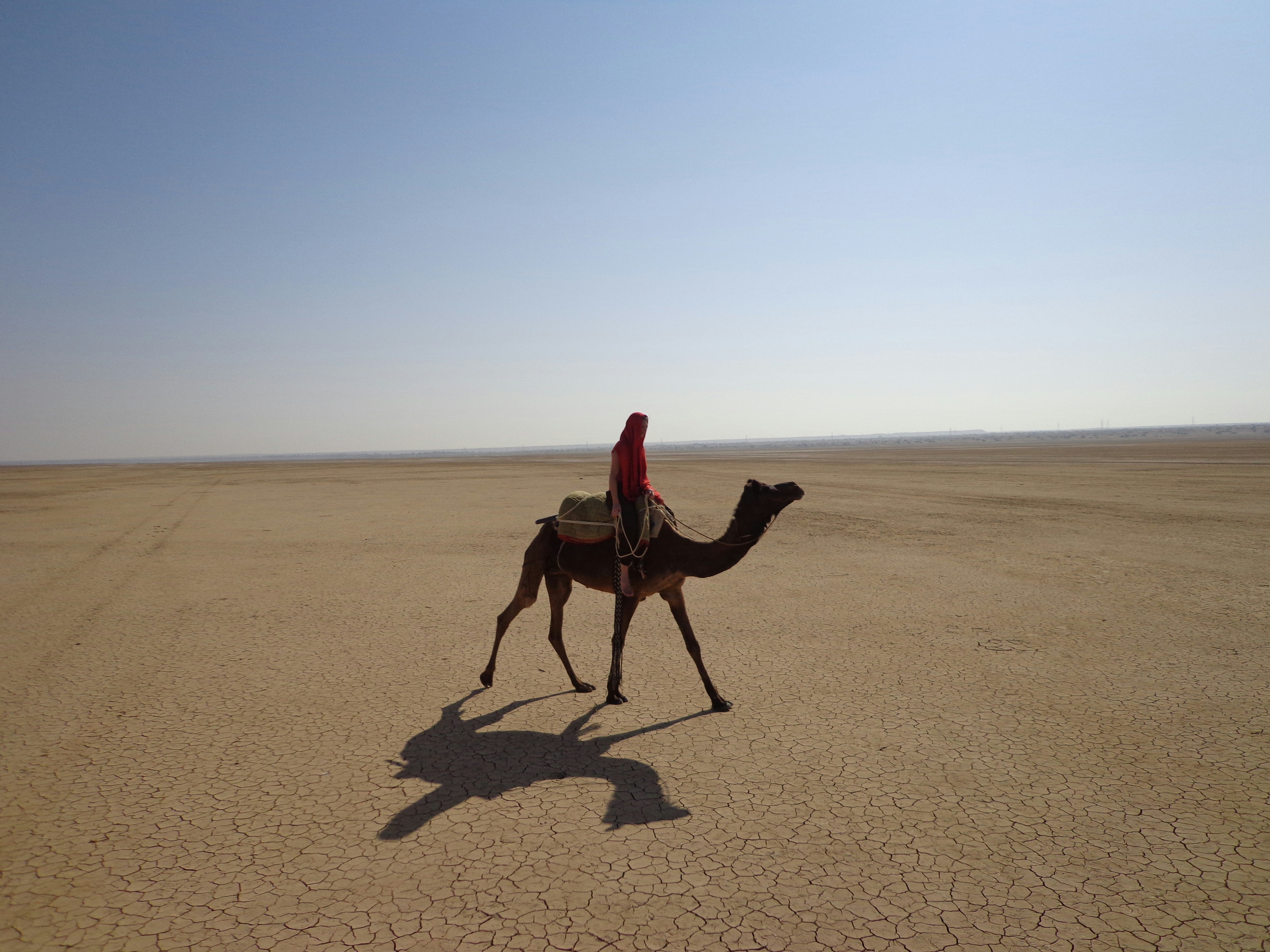 the iconic Thar desert: 4 days around Jodhpur