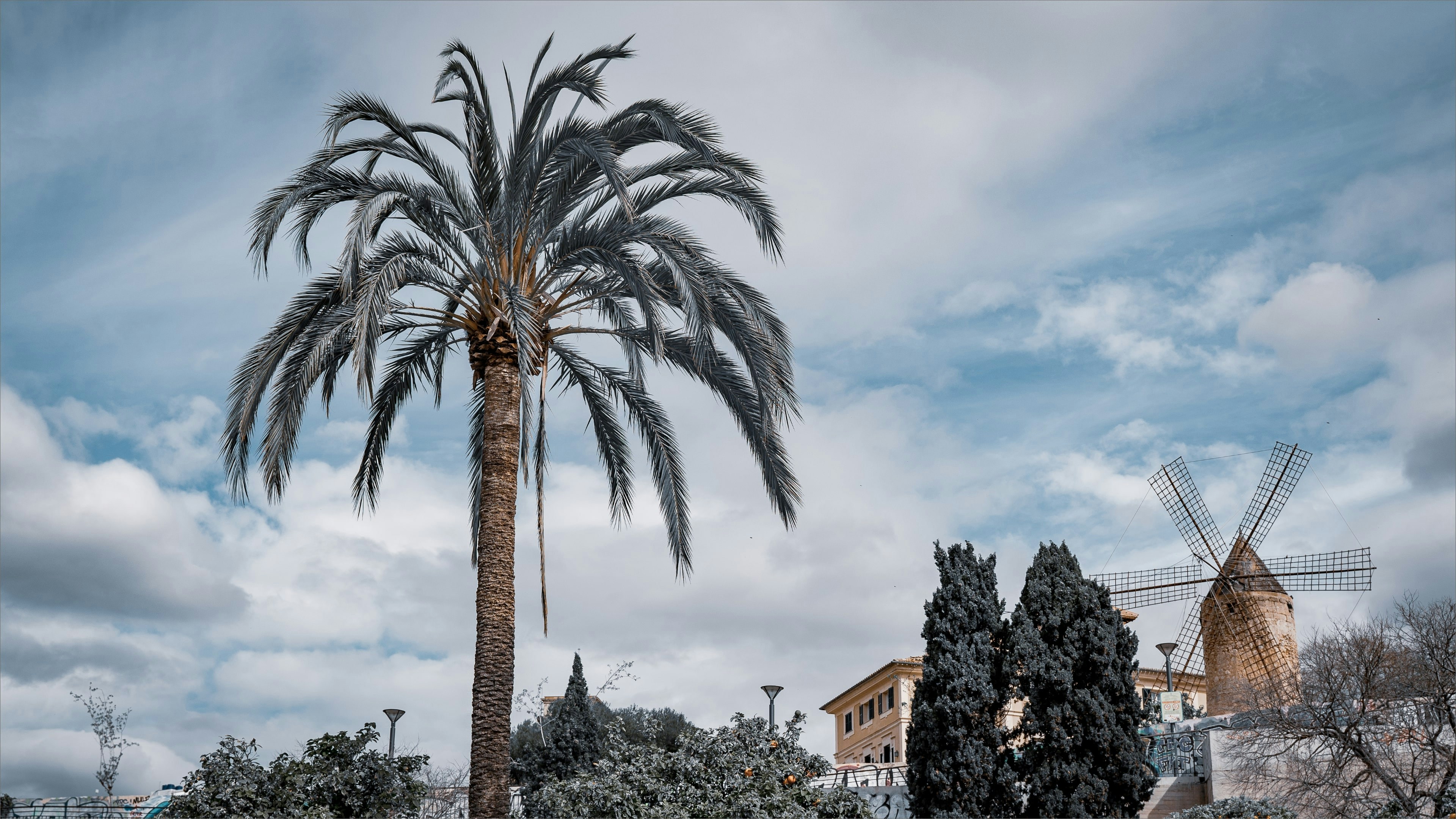 Los 5 mejores expertos en desarrollo de software saas en Palma