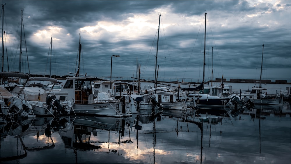 white and black boat on dock during daytime