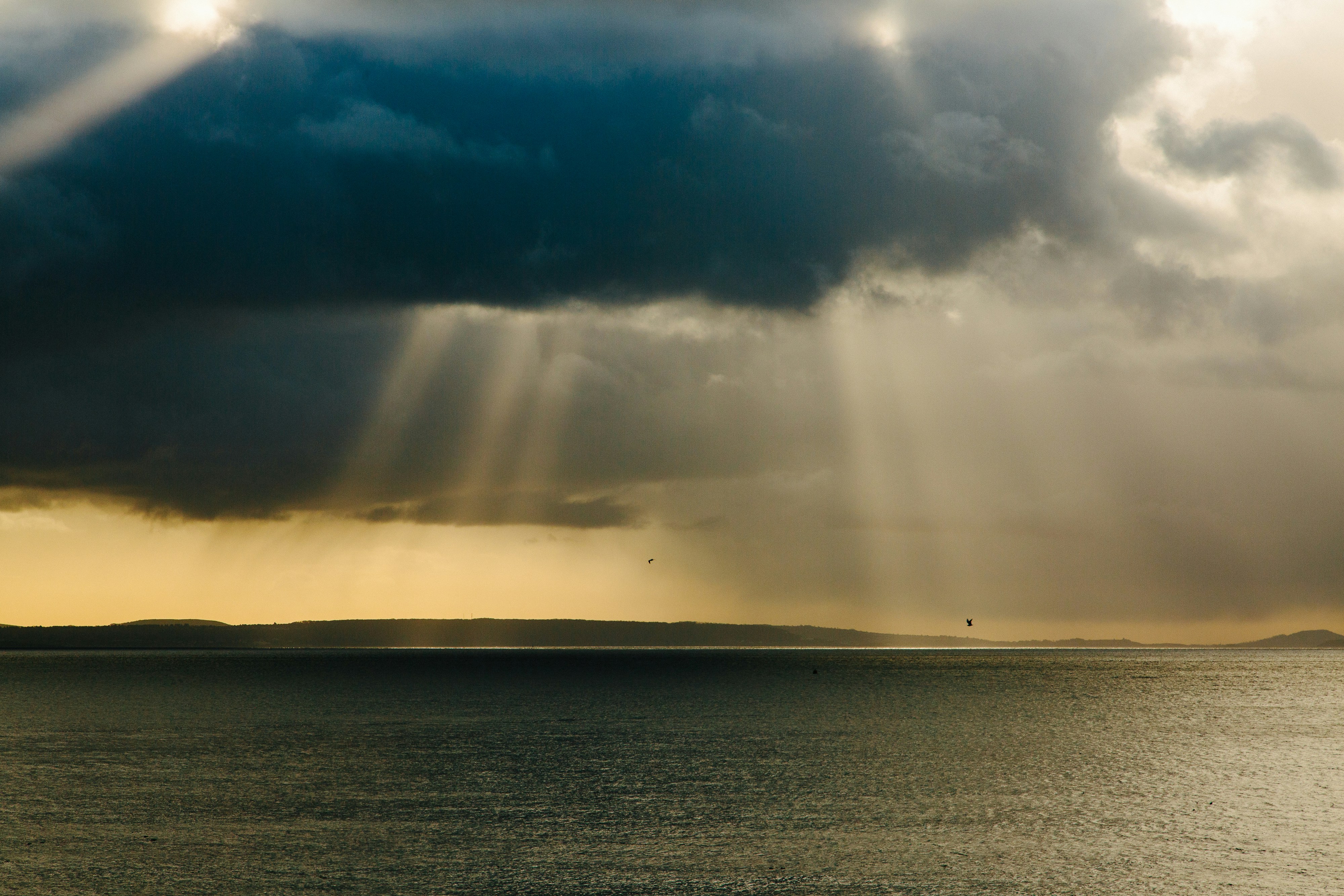 Photo by mikejerskine