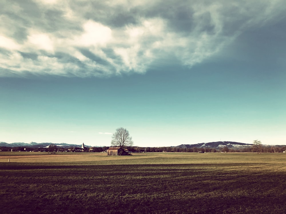 green grass field under blue sky during daytime