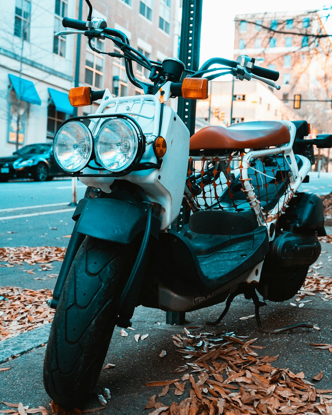 black and brown motorcycle on brown leaves during daytime