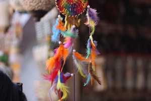 Dreamcatcher Bliss