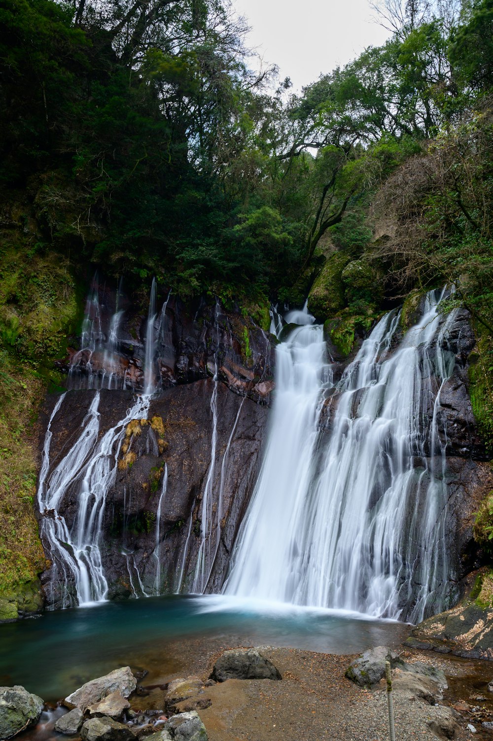 water falls in the middle of the forest