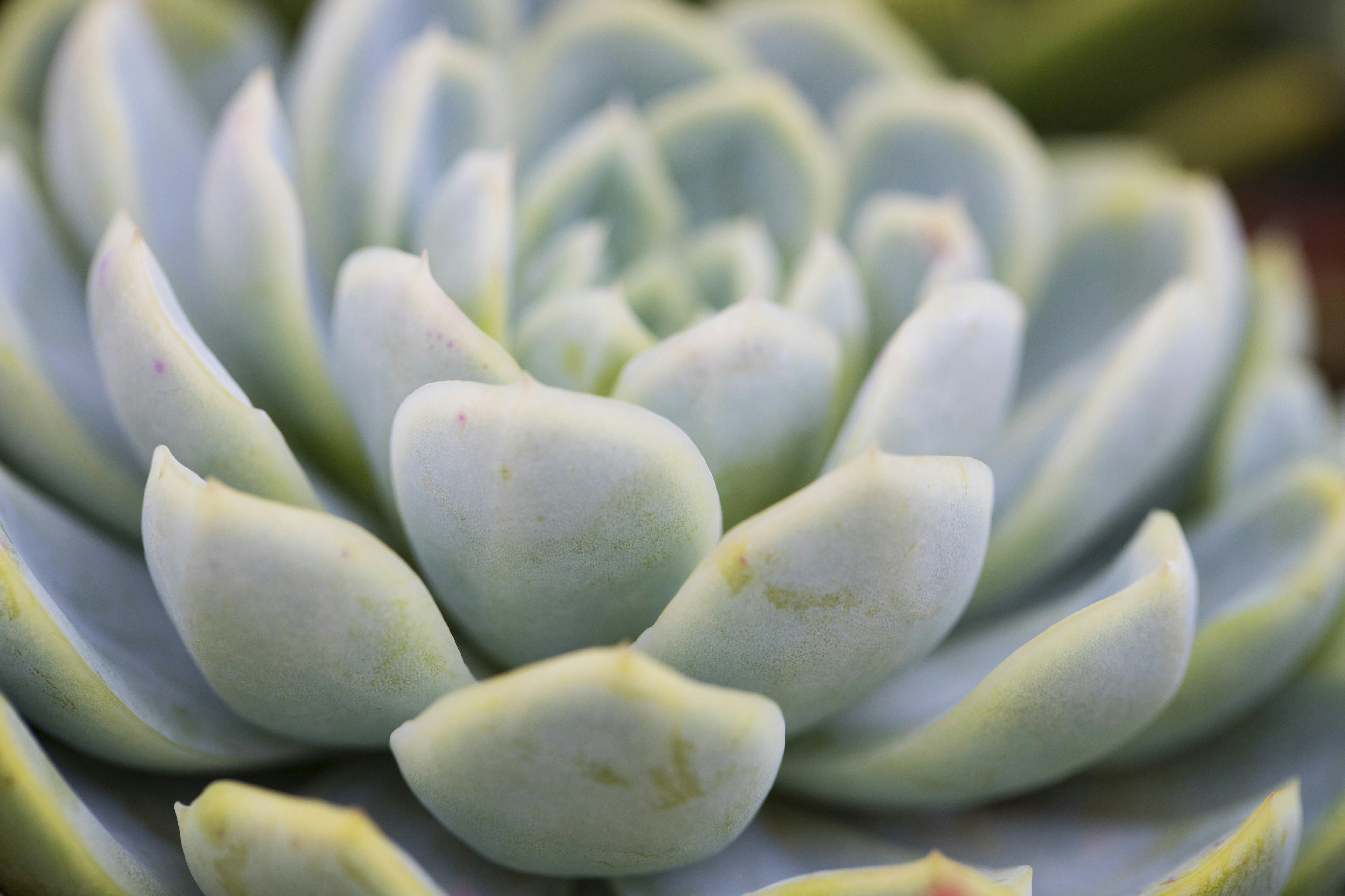 Photo by alexandra01