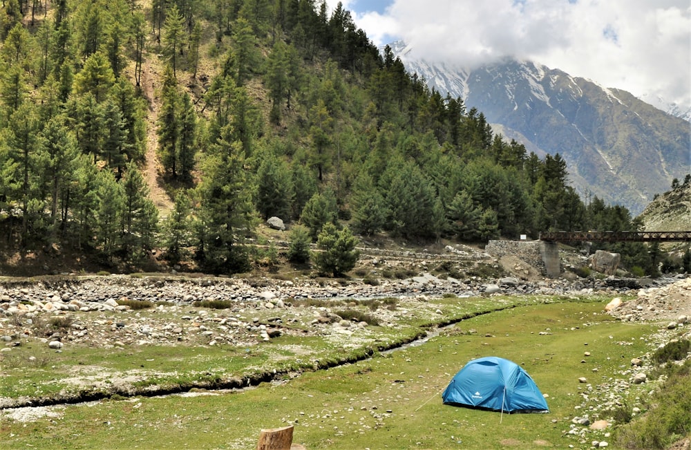 green dome tent on green grass field near green trees and mountain during daytime