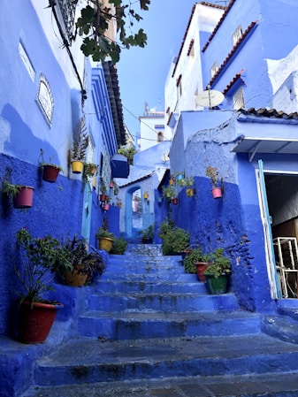 blue and white concrete house