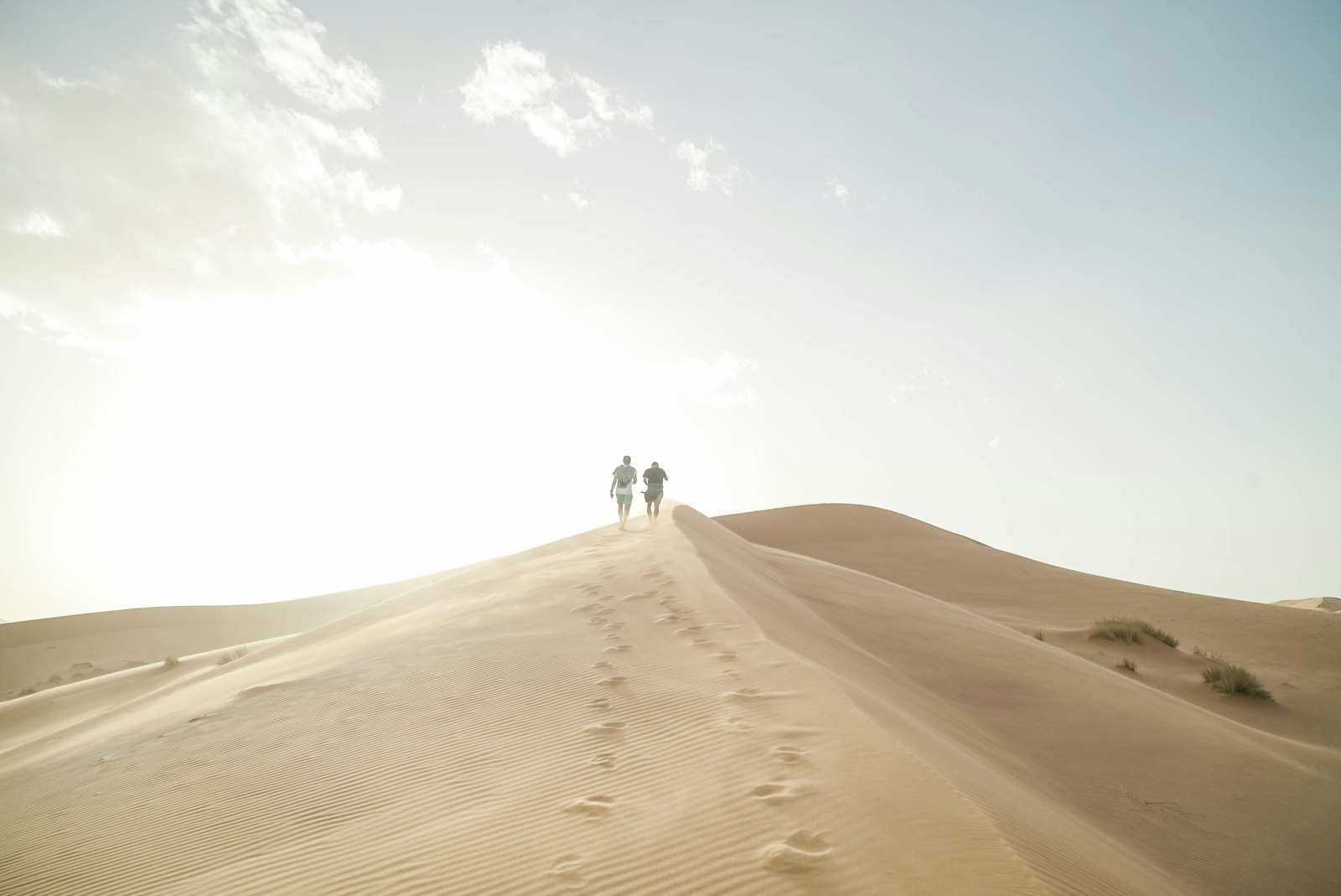 Sony a7S II + Sony Vario Tessar T* FE 24-70mm F4 ZA OSS sample photo. Person walking on desert photography