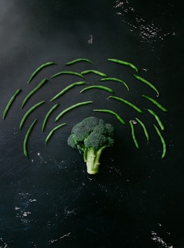 green and black animal skin