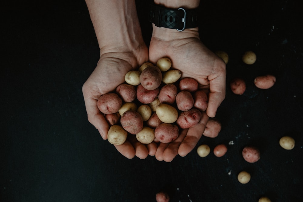 brown round fruits on persons hand