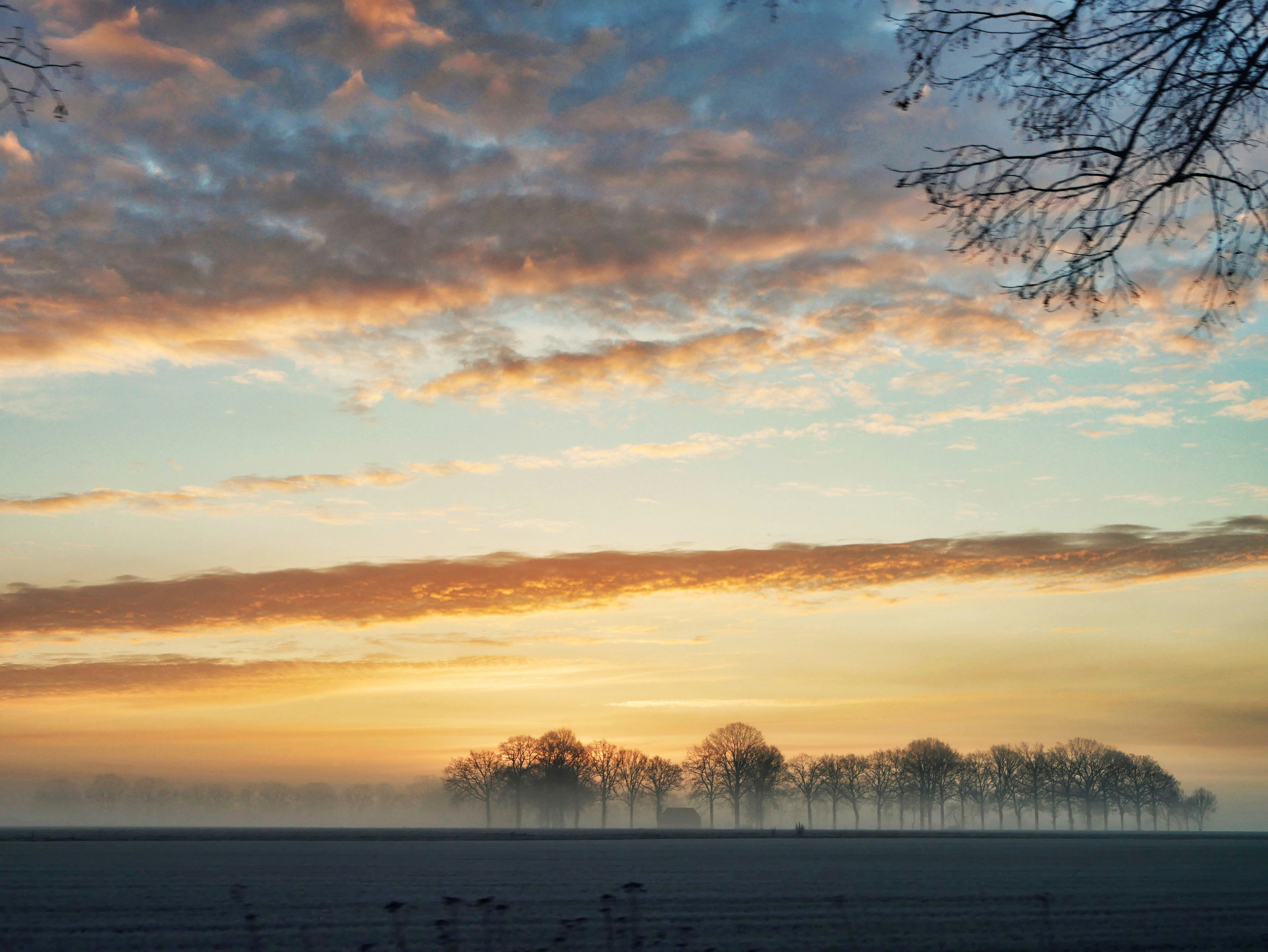 Photo by jonathansuykens