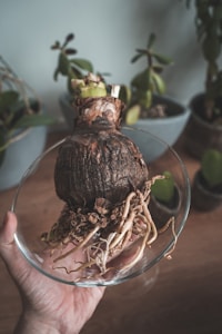 Serbuk Herbal