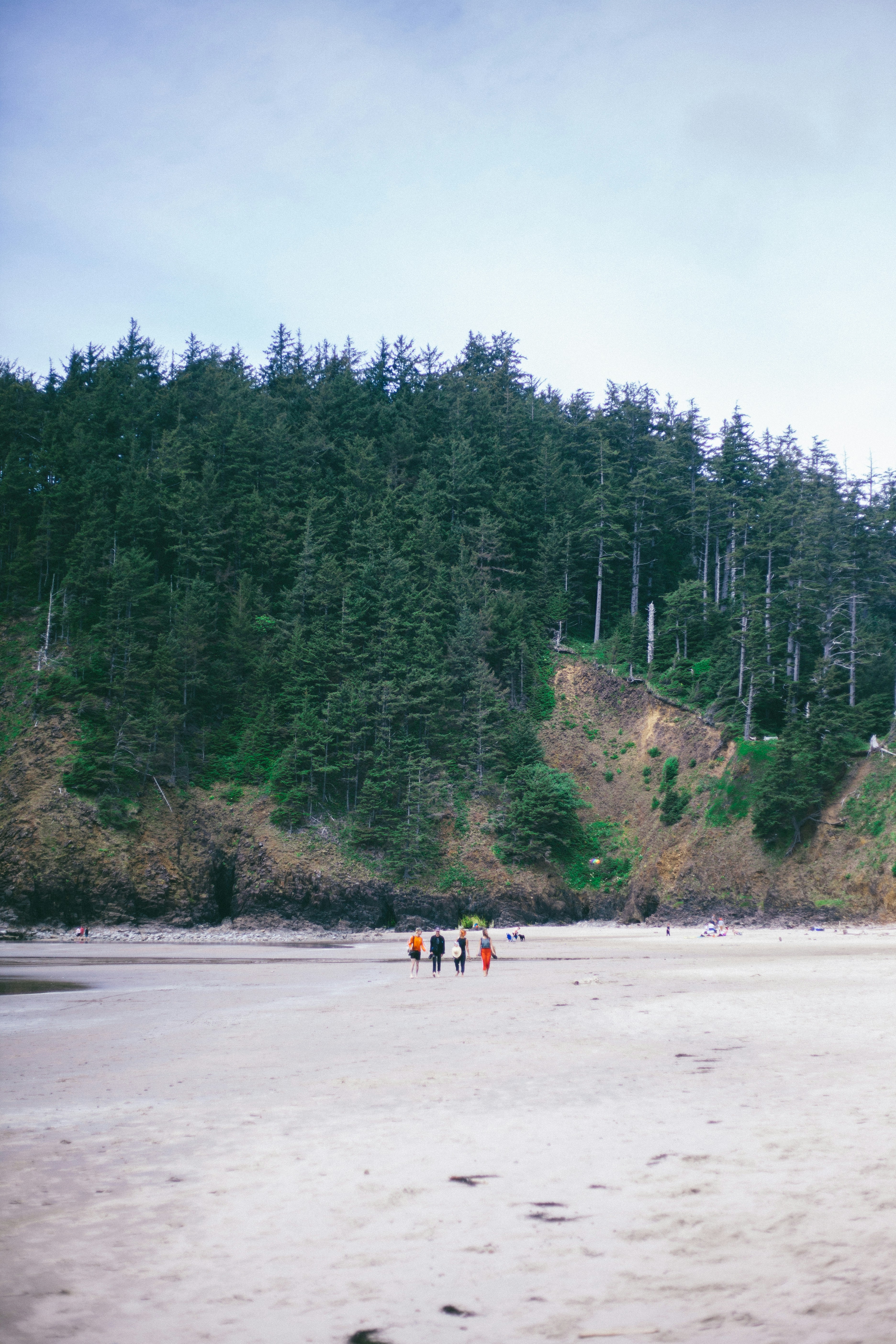 people walking on white sand beach during daytime