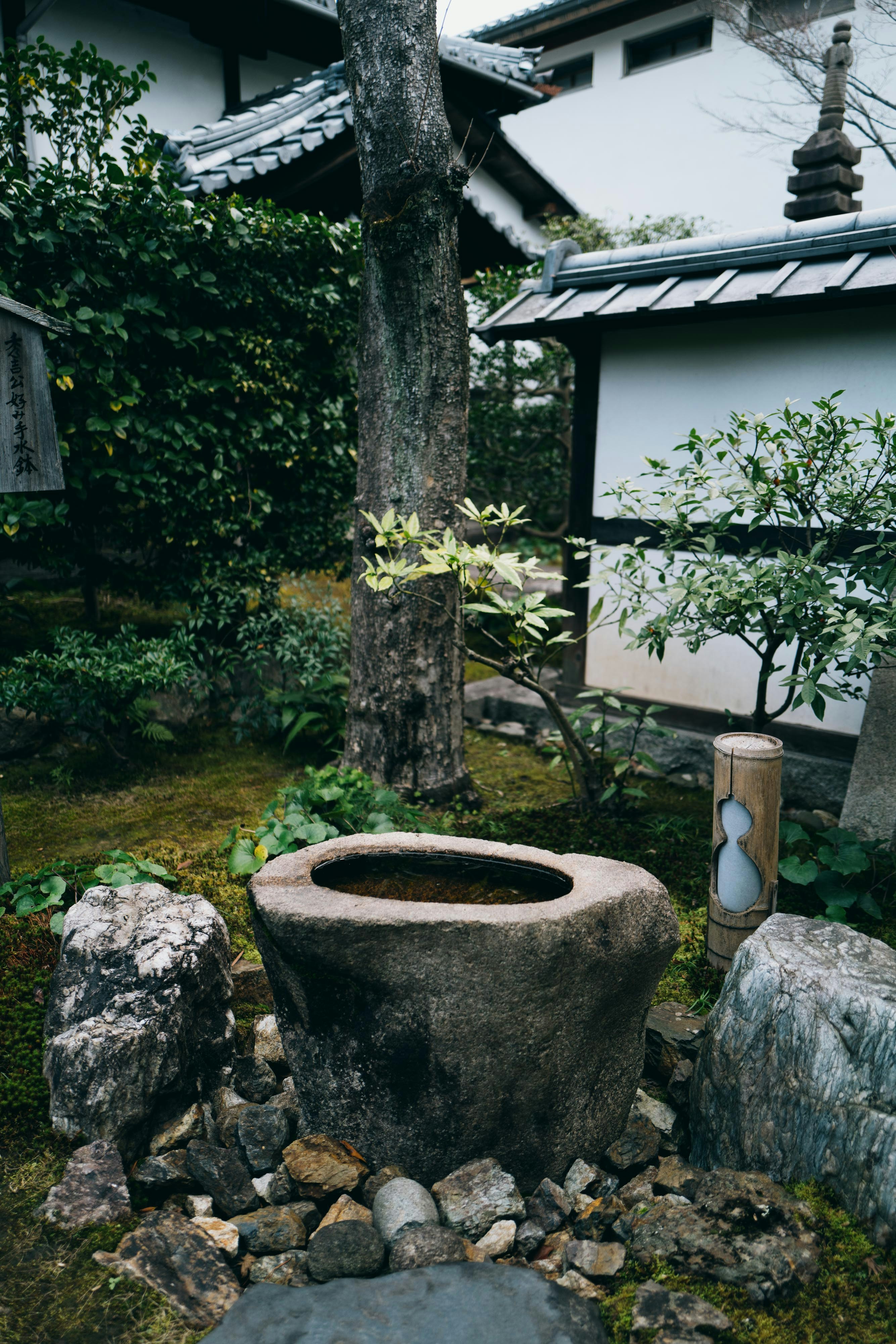 Photo by david_dai