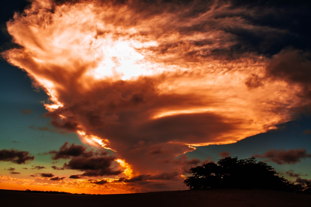 silhouette of trees under cloudy sky during sunset