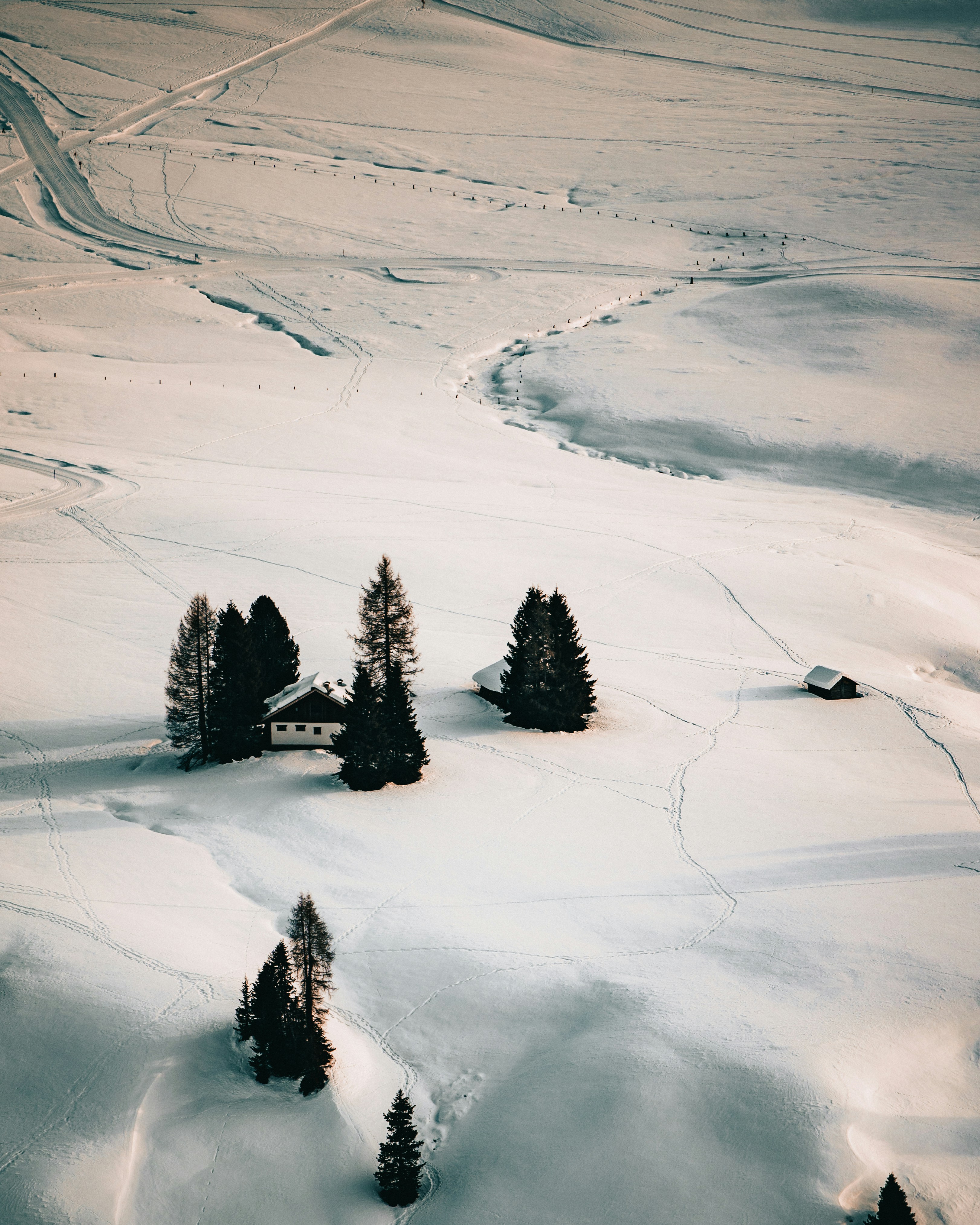 Photo by tamas_tuzeskatai