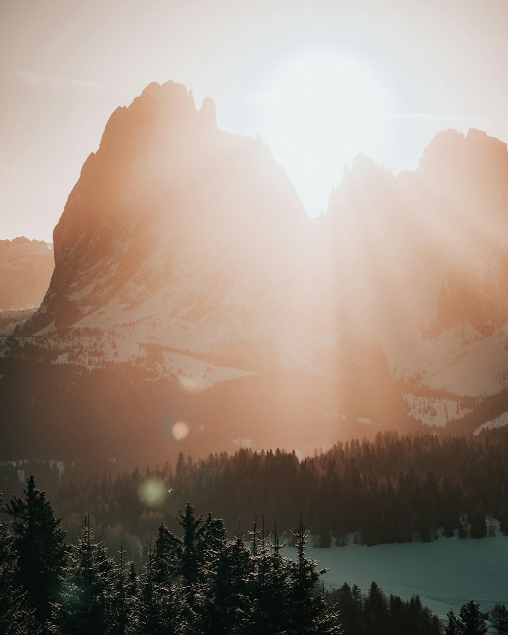 silhouette of trees and mountains during sunset