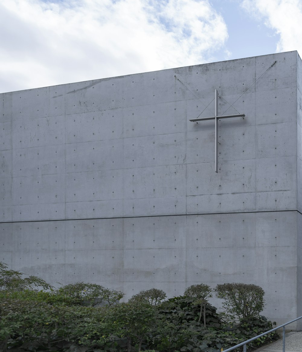 昼間の白いコンクリートの建物の脇の緑の植物