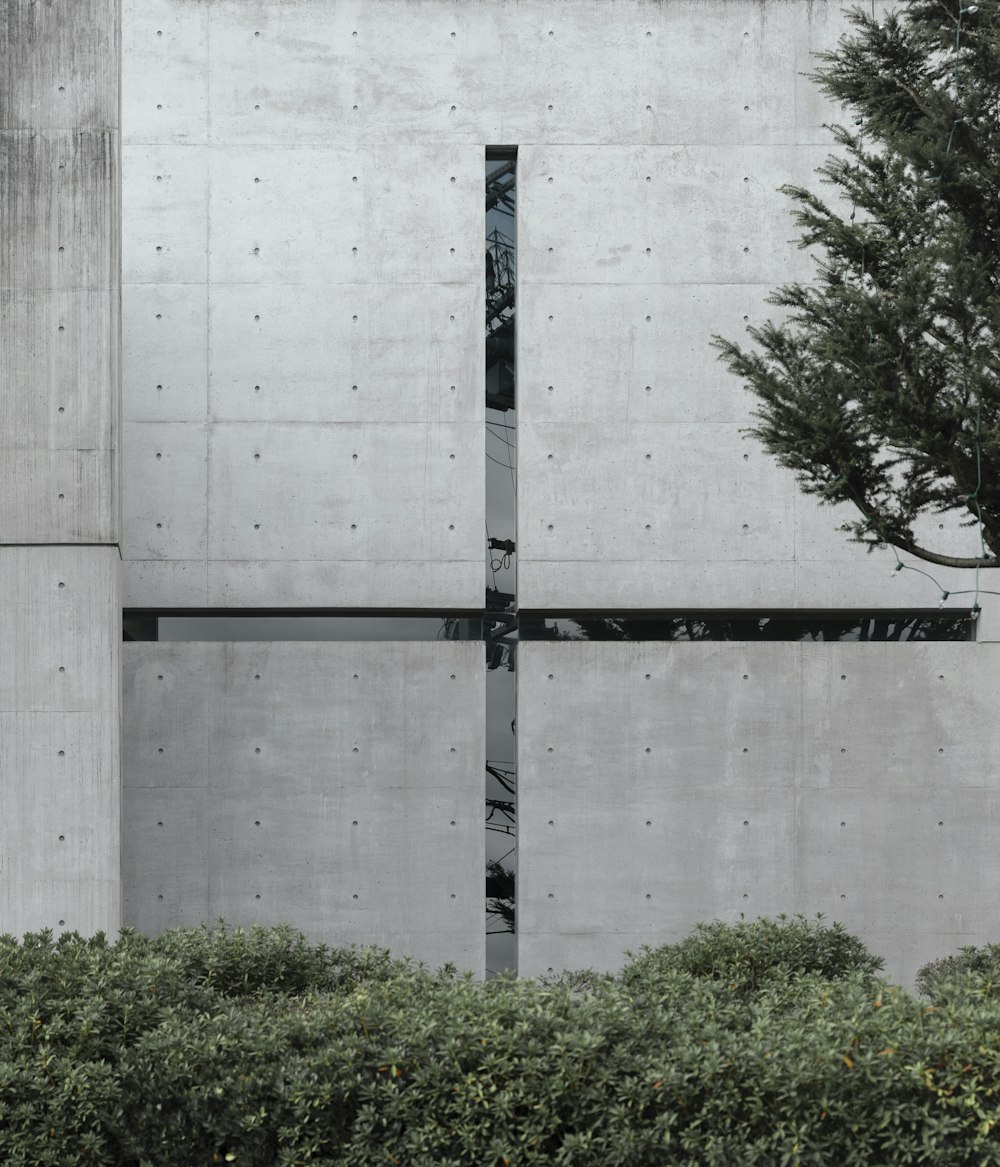 edificio in cemento bianco vicino agli alberi verdi durante il giorno