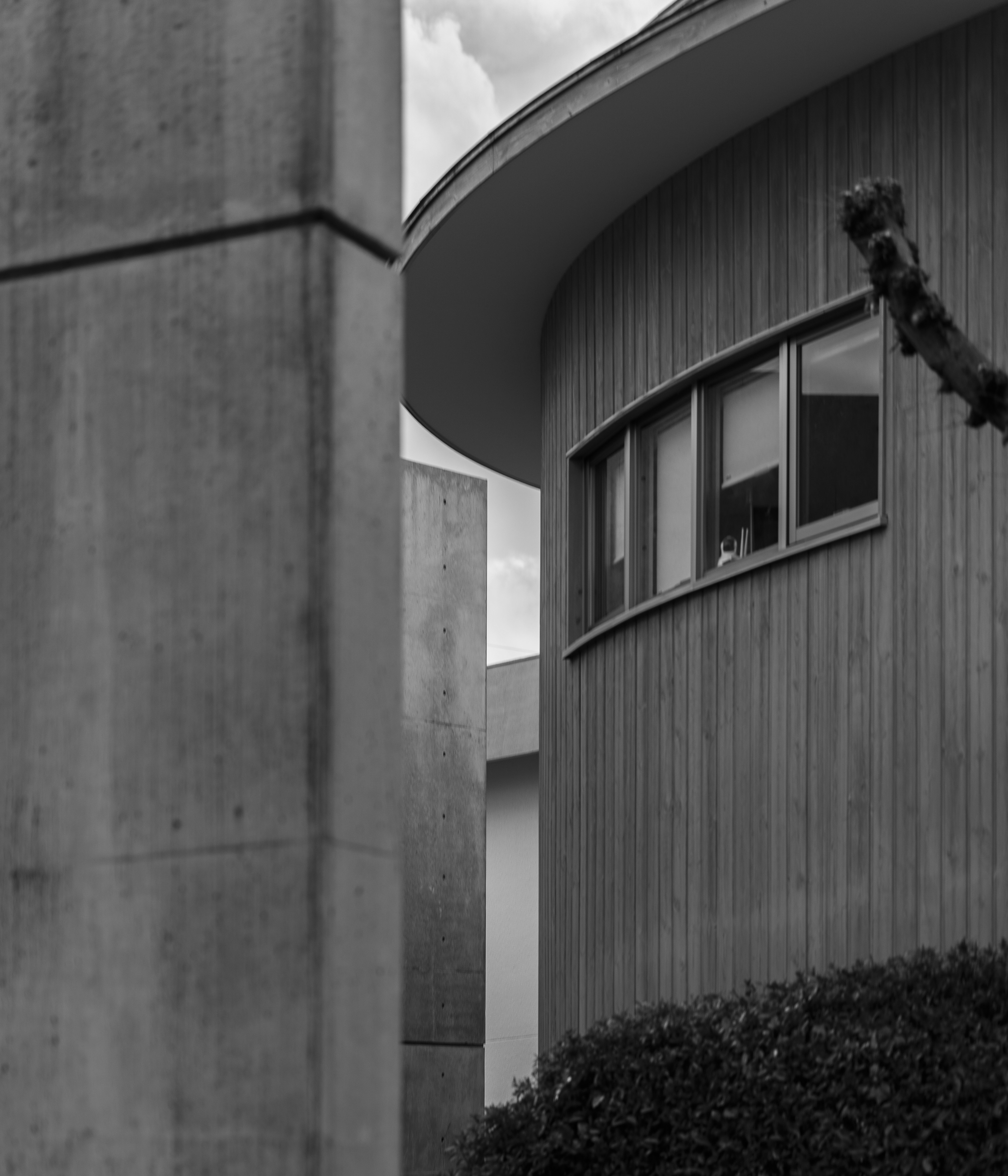 Photo by alexander_tsang