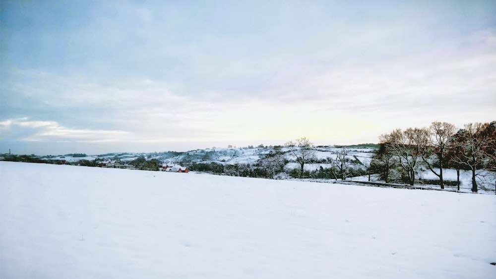 snow covered field during daytime