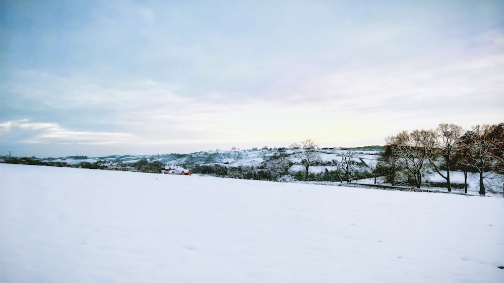 Schneebedecktes Feld tagsüber