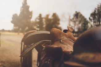 Close-up of a handcrafted leather motorcycle bag resting on a vintage bike seat under warm sunlight.
