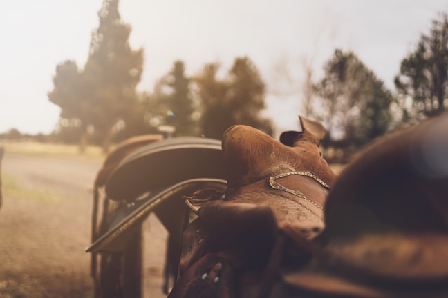 A close-up view of a worn leather saddle, with intricate stitching and aged patina, is positioned outdoors on a sunny day with tall trees in the background creating a serene, rustic atmosphere.