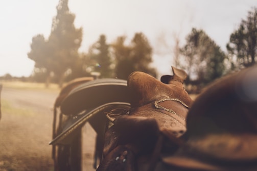 A close-up of a sturdy leather saddle resting on a wooden fence in a green pasture.