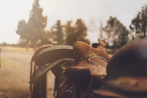 Close-up of a handcrafted leather motorcycle bag resting on a vintage bike seat under warm sunlight.