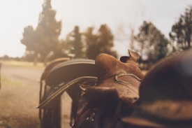 A close-up view of a worn leather saddle, with intricate stitching and aged patina, is positioned outdoors on a sunny day with tall trees in the background creating a serene, rustic atmosphere.