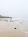 Two children are walking along a sandy beach scattered with rocks and seaweed. The shoreline is marked by gentle waves and a distant view of cliffs under an overcast sky.