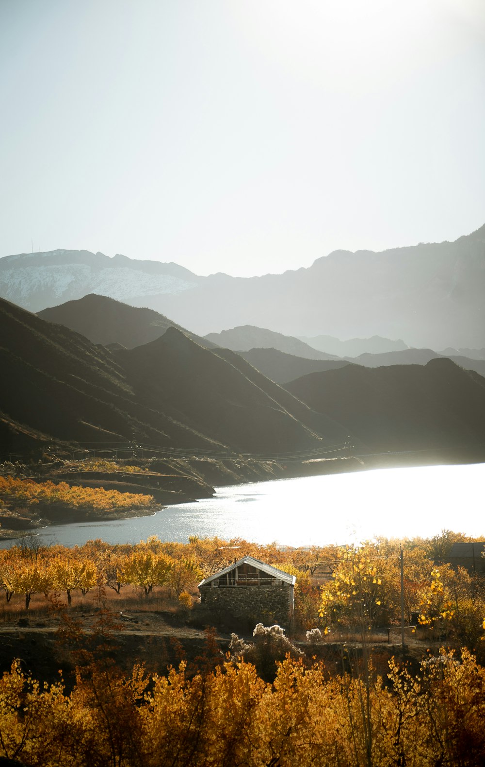 brown wooden house on green grass field near lake during daytime