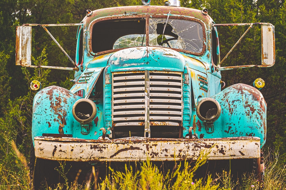 camion rosso dell'annata sul campo di erba verde durante il giorno