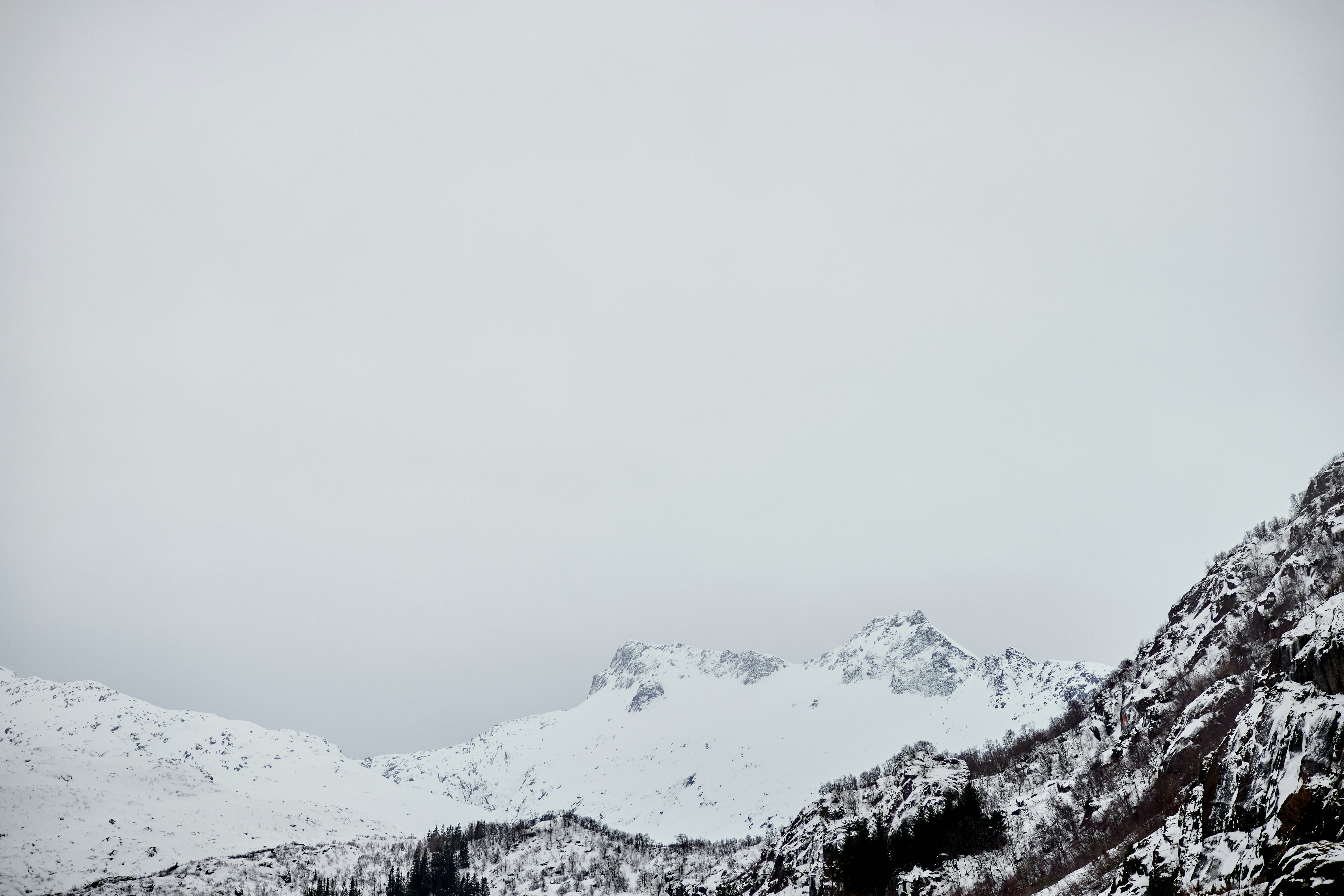 Photo by wolfgang_hasselmann