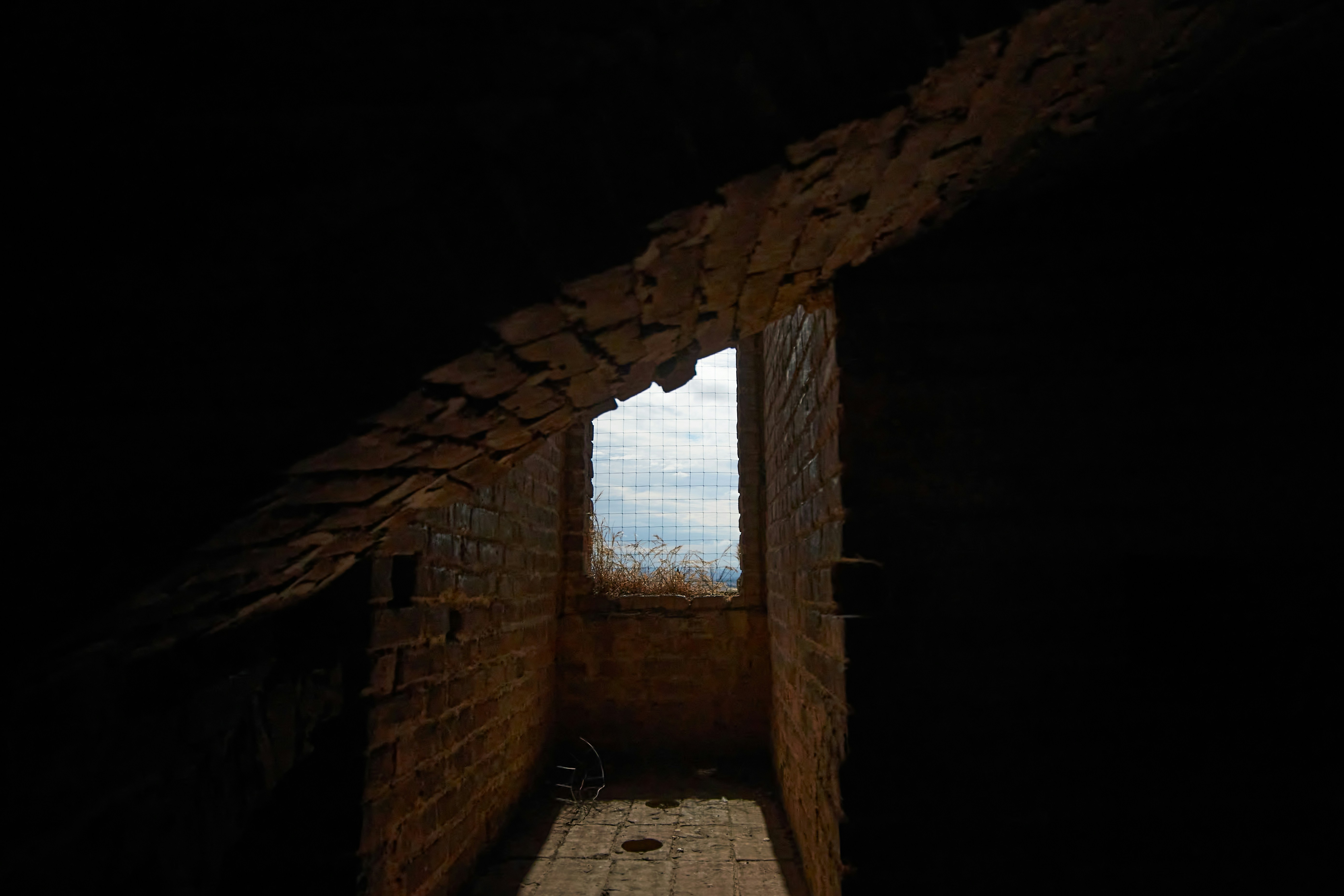 Photo by wolfgang_hasselmann