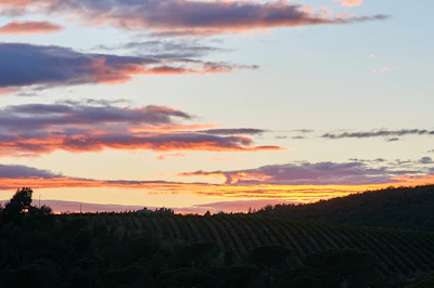 Sunset over the Tuscan hills with Torre Palazzone silhouetted against a warm sky.