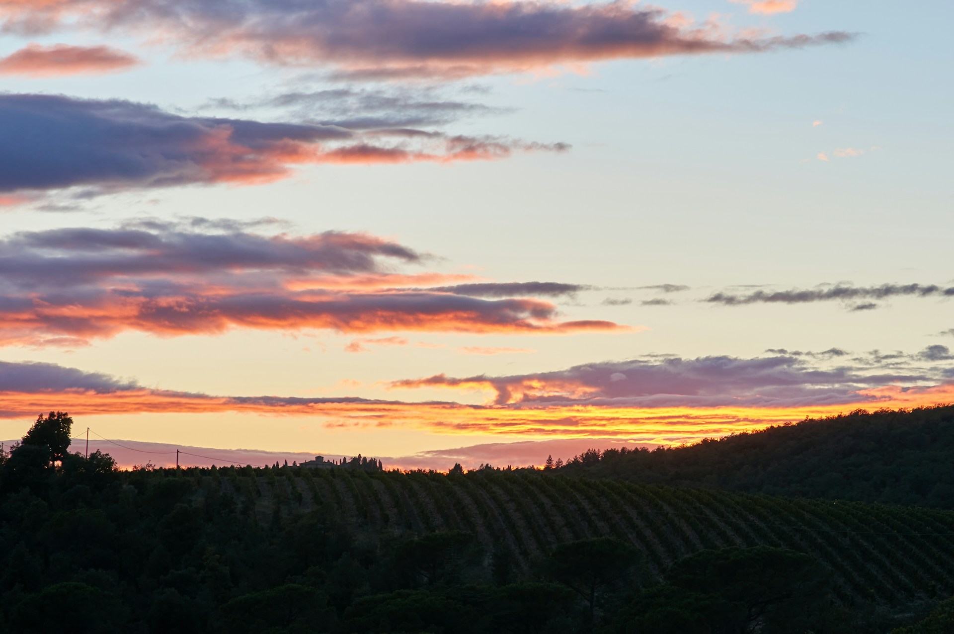 A picturesque sunset over the mountains, casting warm hues over a tranquil vineyard landscape.