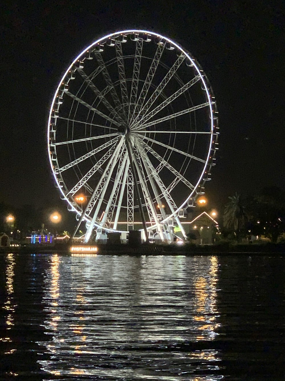 white ferris wheel near body of water during night time