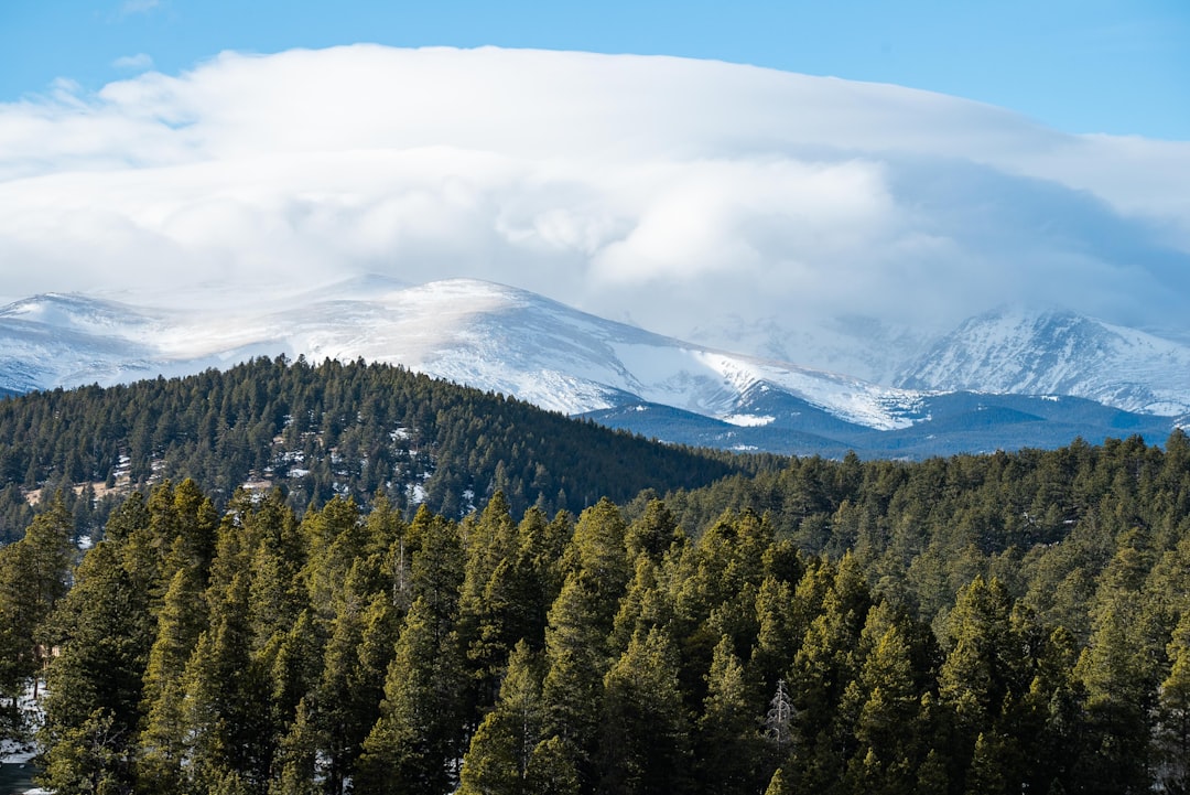 green trees near snow covered mountain under white clouds during daytime