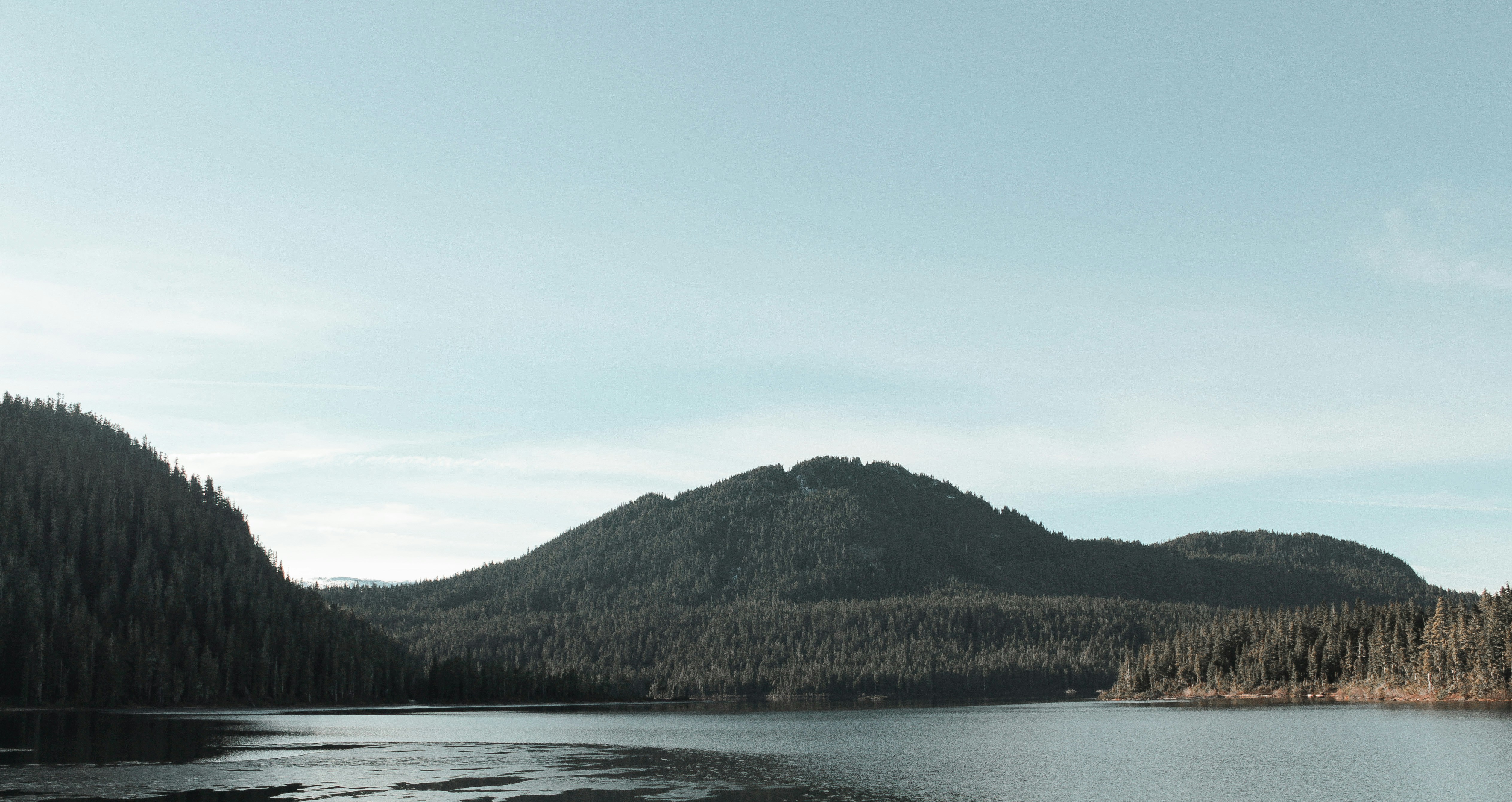 Photo by colefreeman