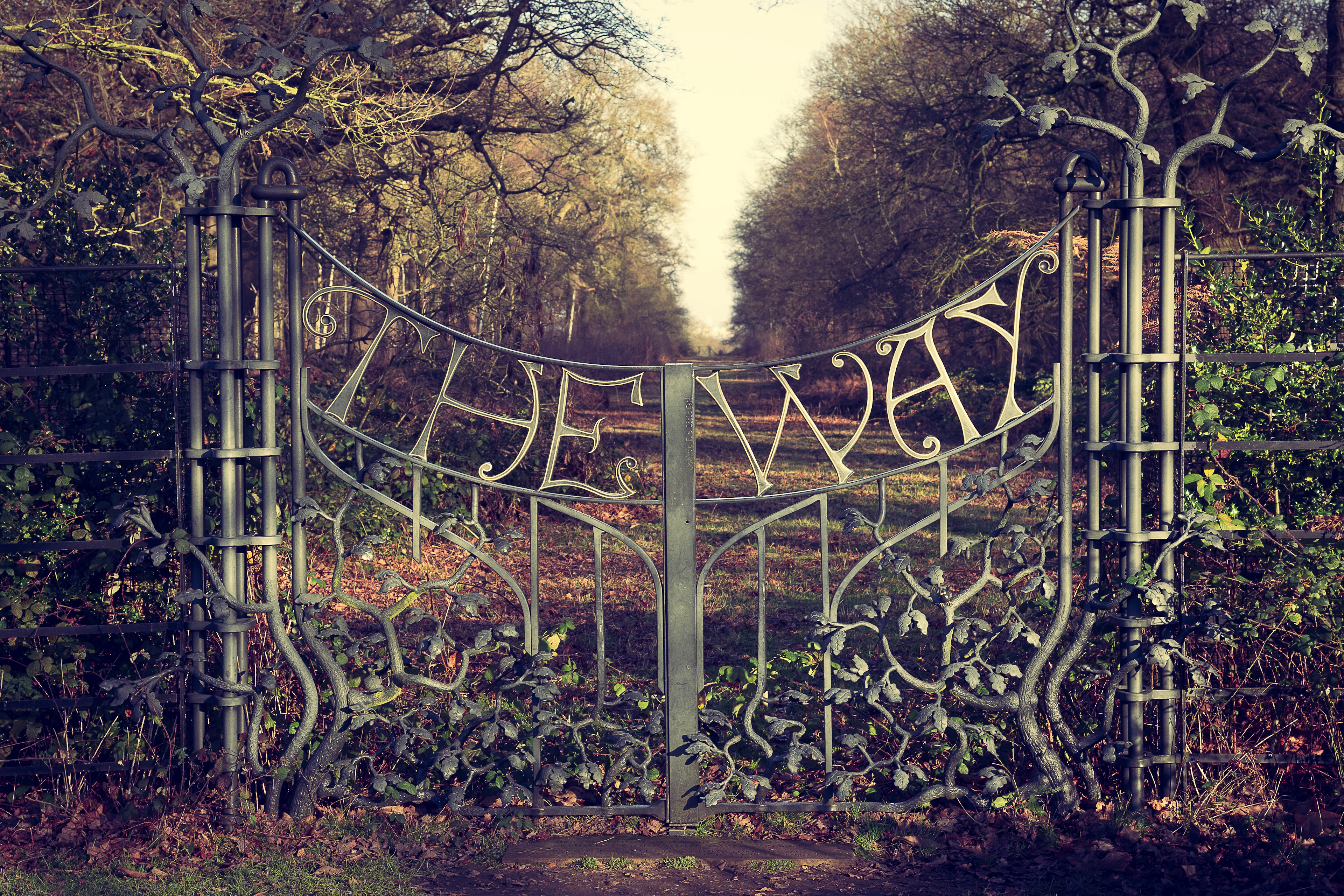 Brown metal fence near green trees